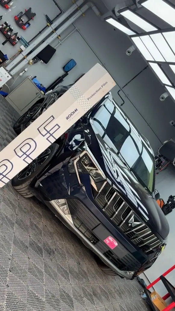 Paint Protection