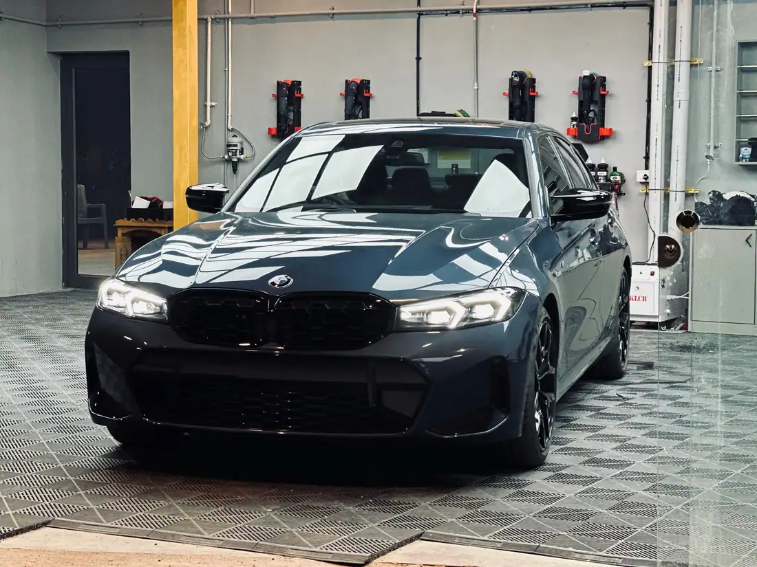 Paint Protection