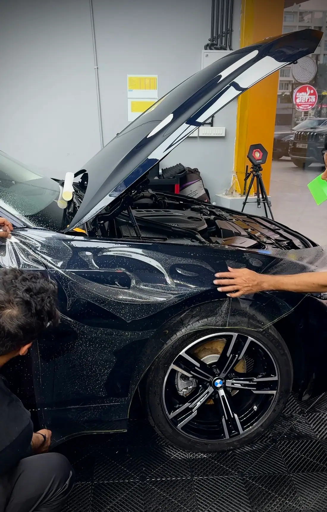 Paint Protection