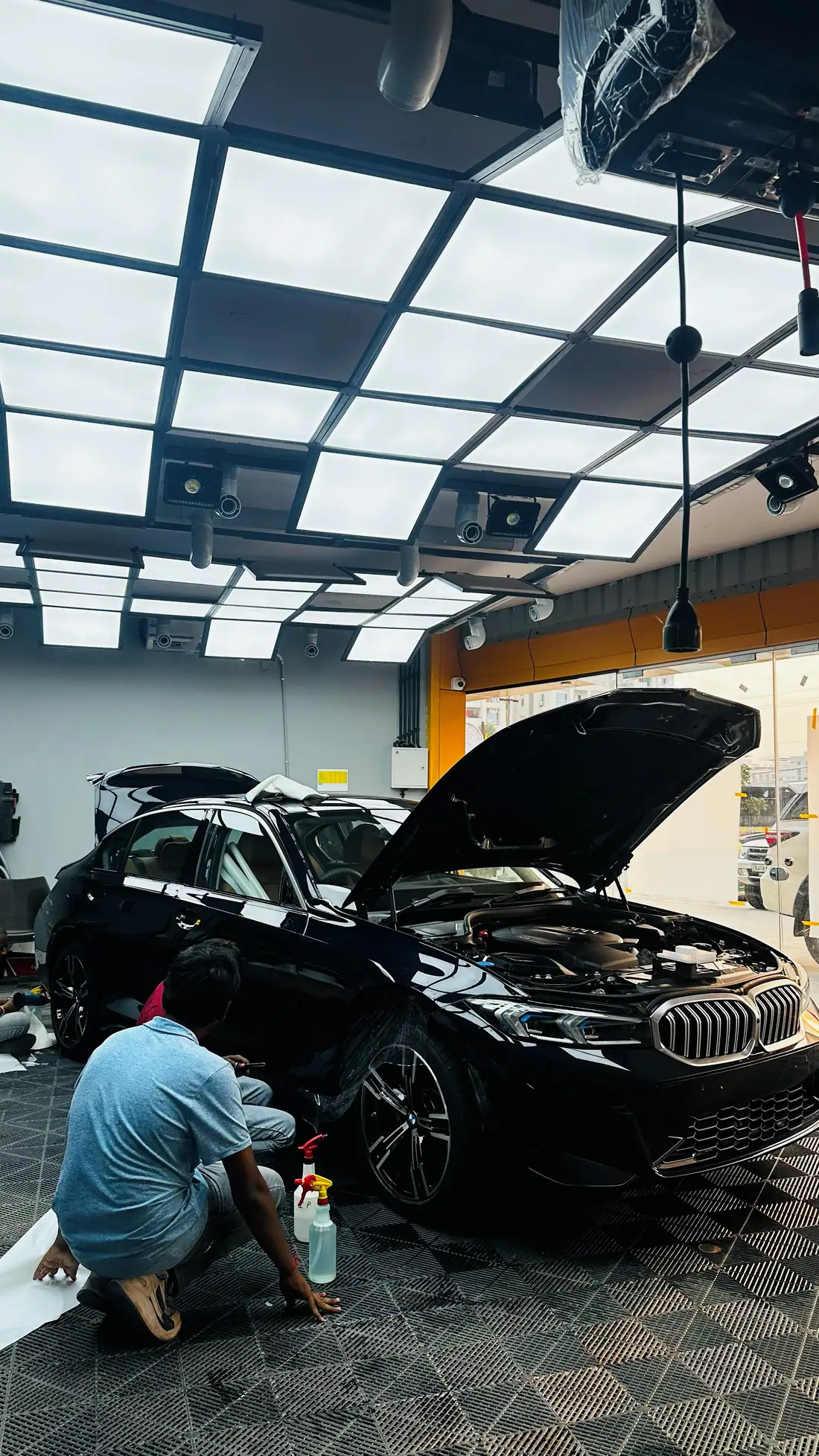 Paint Protection